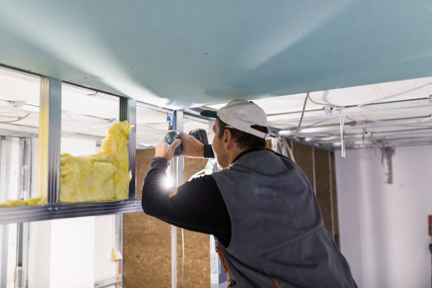 Best Wall Insulation Installation  in Fairfax, SC