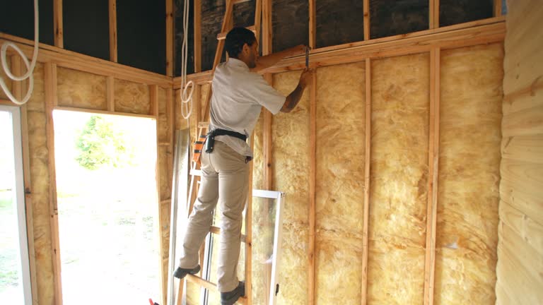 Best Insulation for Existing Homes  in Fairfax, SC